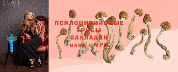 mdpv Алексин
