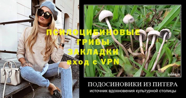 mdpv Алексин