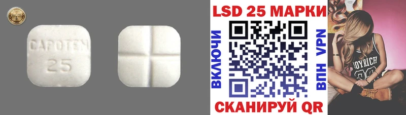 MEGA ССЫЛКА  Пучеж  Лсд 25 экстази ecstasy 