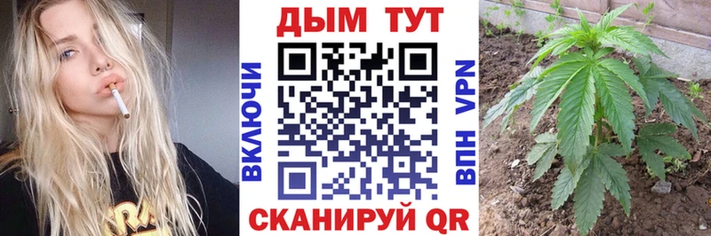 Бошки Шишки AK-47  купить закладку  Пучеж 
